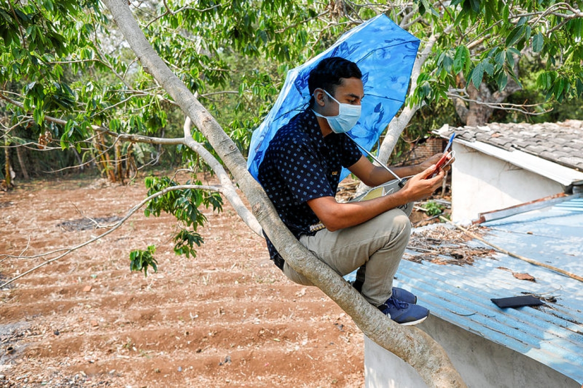 El Salvador student scales treetops to pick up signal for online classes